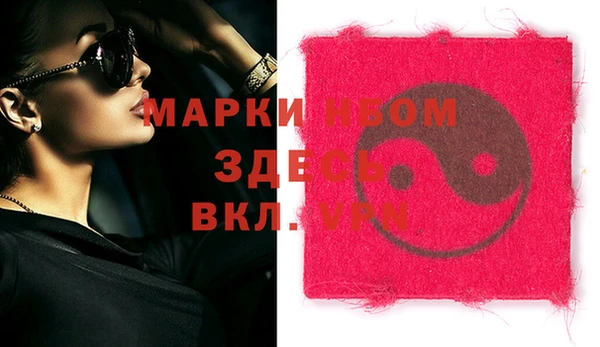Альфа ПВП Горняк